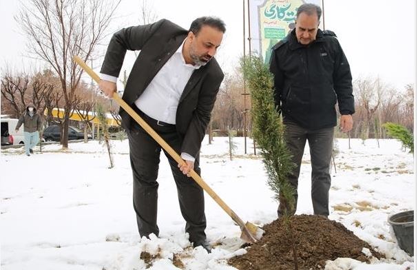 همزمان با روز درختکاری در سبزترین پتروشیمی کشور: غرس نهال از سوی مدیرعامل شاراک